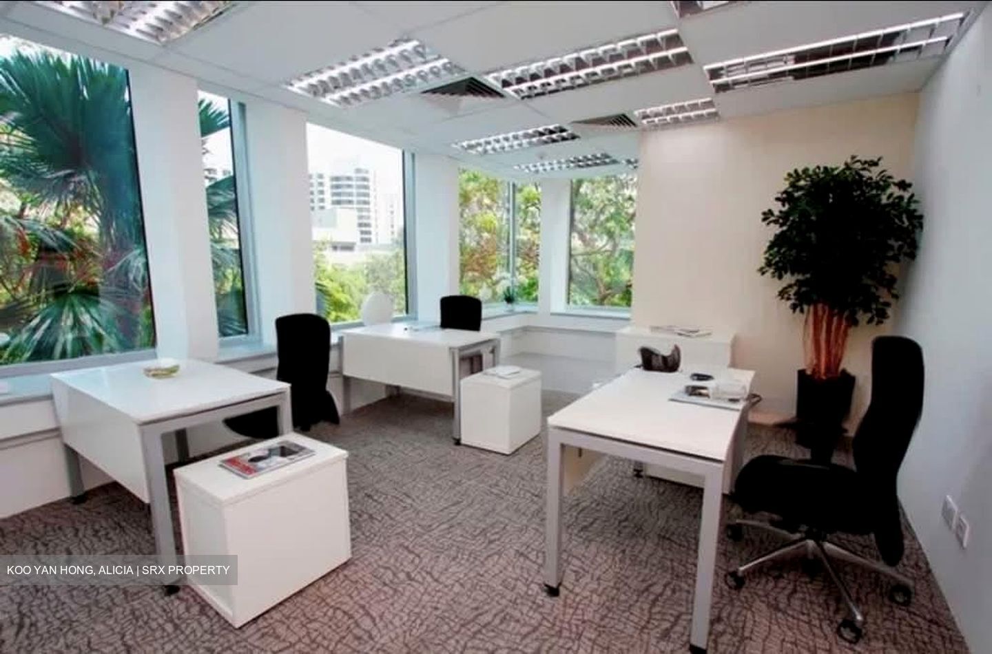 Thong Teck Building (D9), Office #537978481